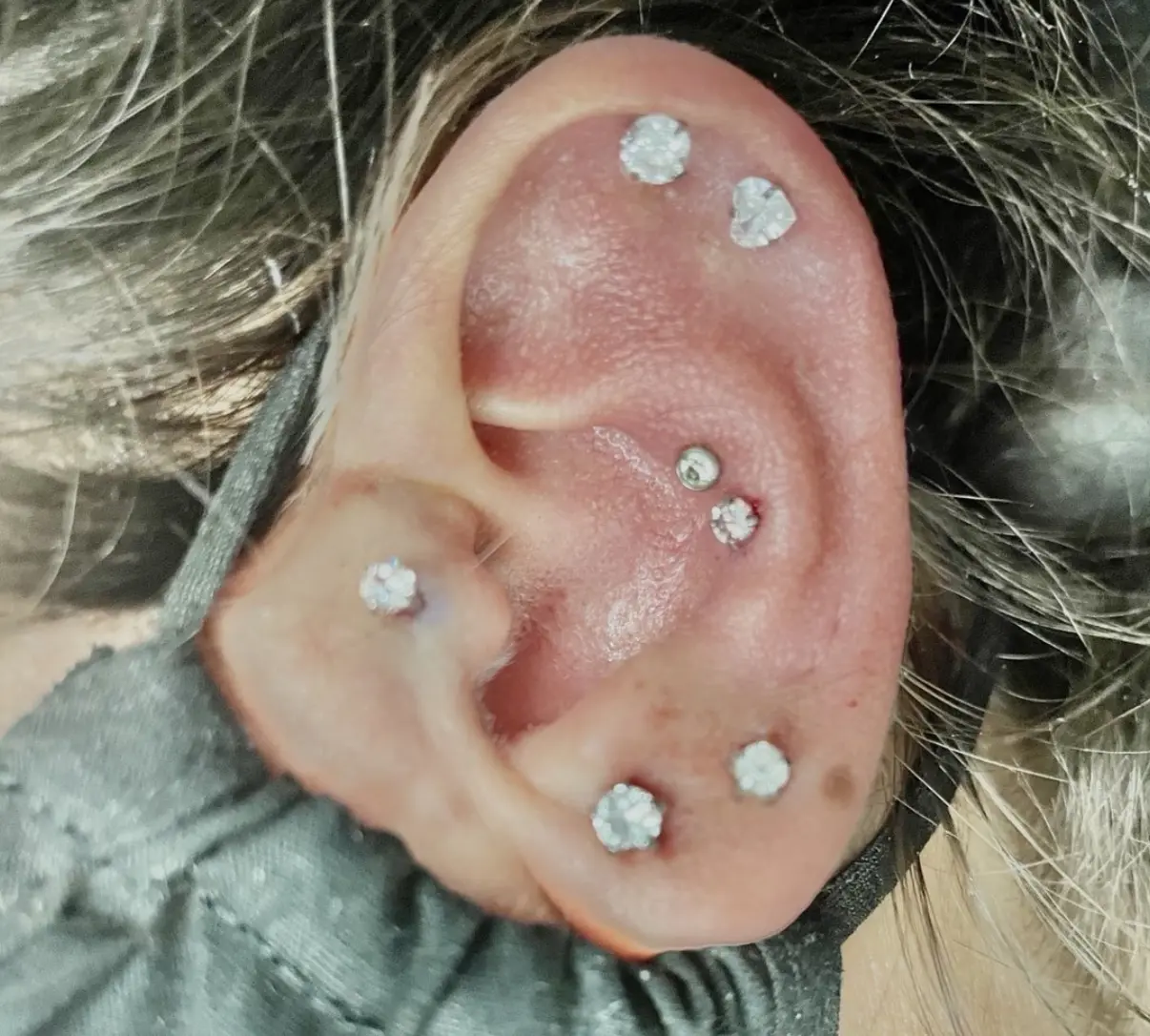 A person with their ear pierced with multiple piercings.